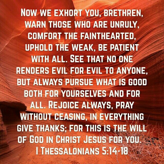 Thankful for the Sanctuary cover