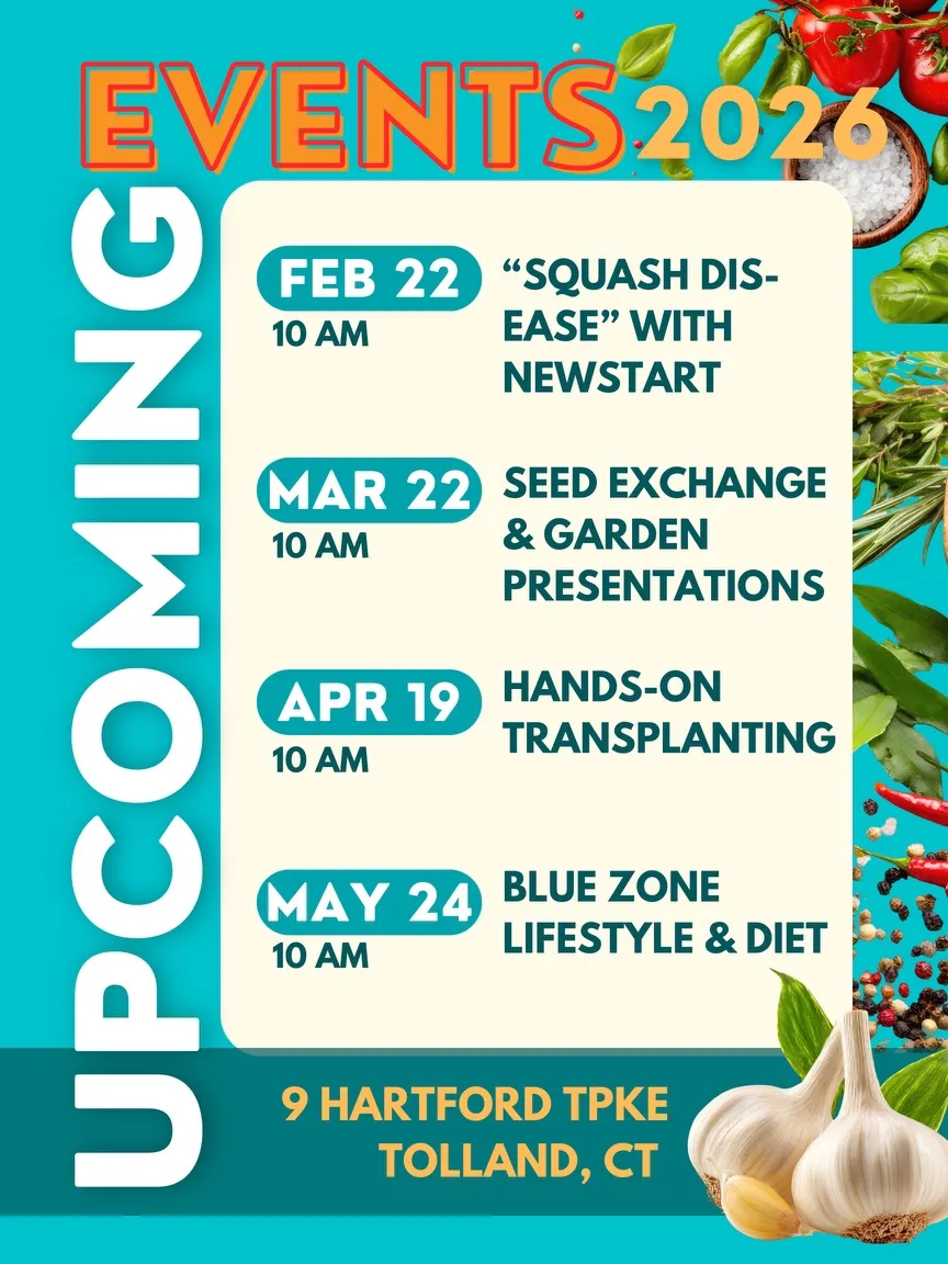 Health Benefits of Squash and Garlic